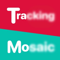 TrackingMosaic:Mosaic in video