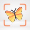 Insects & Bugs Identifier ID icon