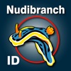 Nudibranch ID THE WORLD