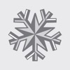 Silver Star Shuttle icon