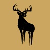 Black Deer Festival icon