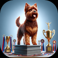 Pocket Rally Dog Obedience - Blue Ribbon Dogs Cover Art