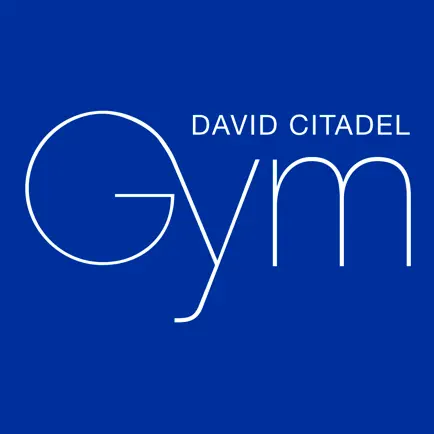 DAVID CITADEL GYM Читы