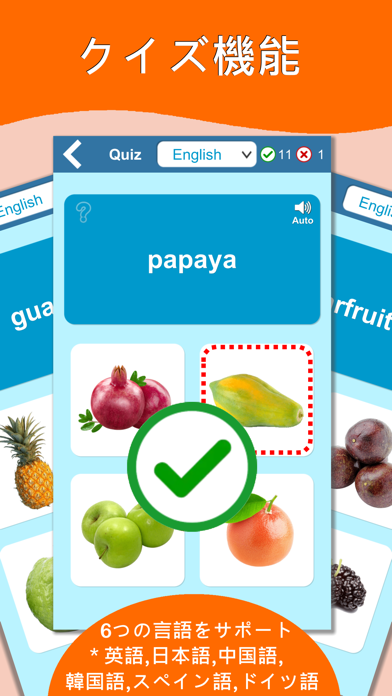 果物学習カード : 英語学習のおすすめ画像5