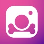 Pounce - Pet Photo Editor app download
