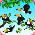 Bird Sort Game App Positive Reviews