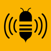 BeeFlat Bagpipe Tuner - Matt Fraser