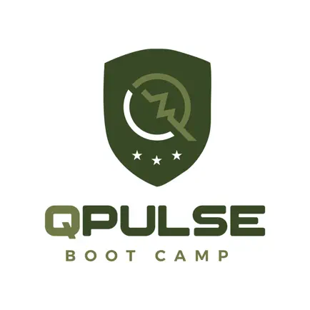 QPulse Bootcamp Читы