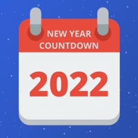 New Year Countdown 2025