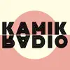 KamikRadio negative reviews, comments