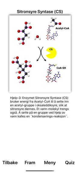 Game screenshot KrebsSyklus apk