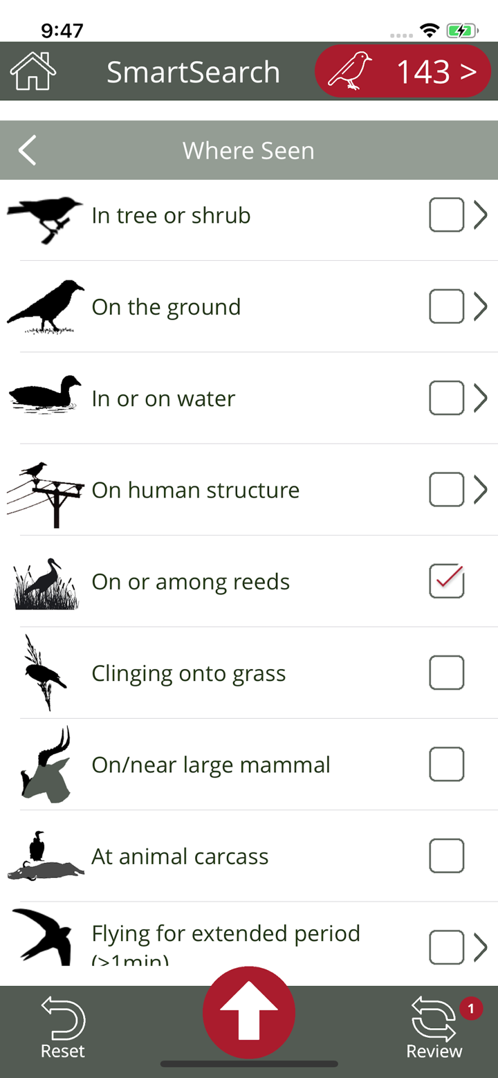 BirdPro screenshot 7