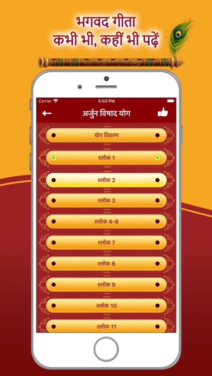 Bhagavad Gita Hindi !