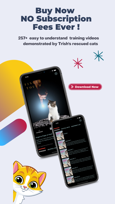 CatBoss TV Cat Training Screenshot