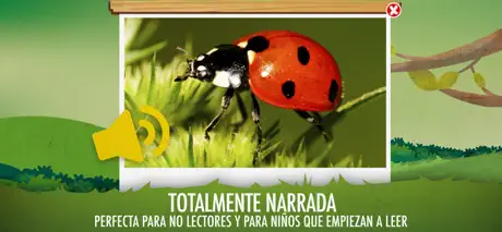 Los Bichos I: ¿Insectos?