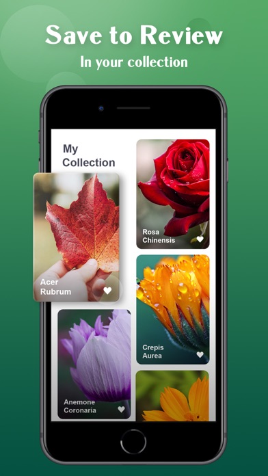 Plant Lens Identify Plant Pro Screenshot