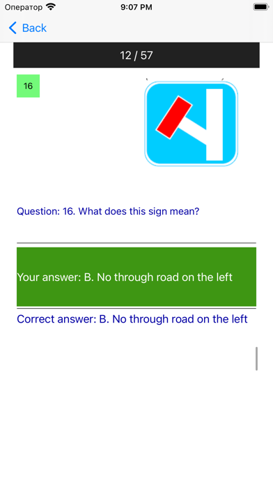 Driving License test UK Screenshot