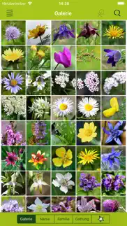 wildblumen finder schweiz iphone bildschirmfoto 2