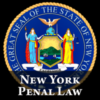 NY Penal Law 2024 - PDA Wizard Cover Art