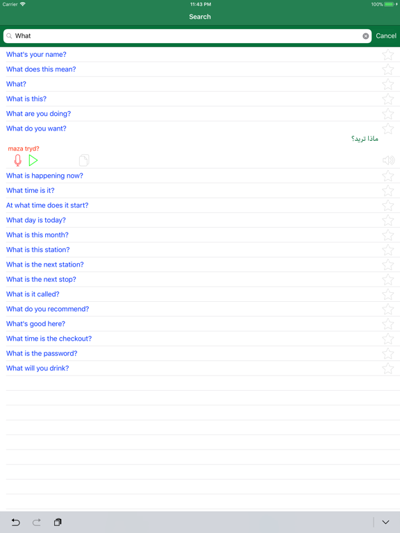 Learn Arabic Language Offline iPad screenshot 7 - Education app
