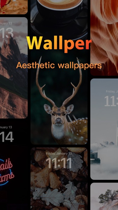Wallper-aesthetic wallpapers Screenshot