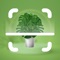 Icon PlantID: Care & Identifier App