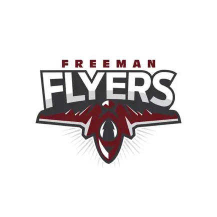 Freeman Flyers Читы