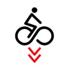 Zaragoza Bici App Feedback