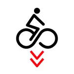 Zaragoza Bici App Contact