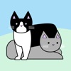 Meowx3 Cat Data Health Tracker icon