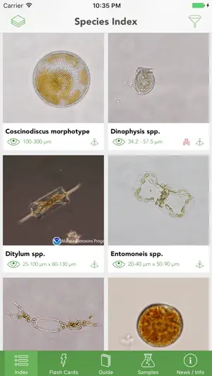 Phyto screenshot 1