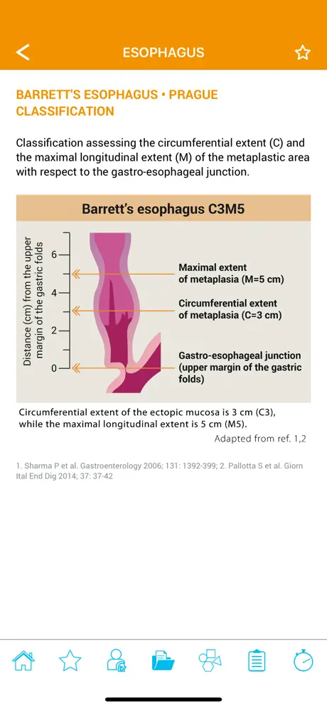 Endoscopy Classification