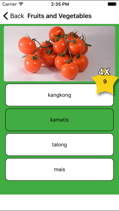Learn Tagalog - Flashcards Screenshot