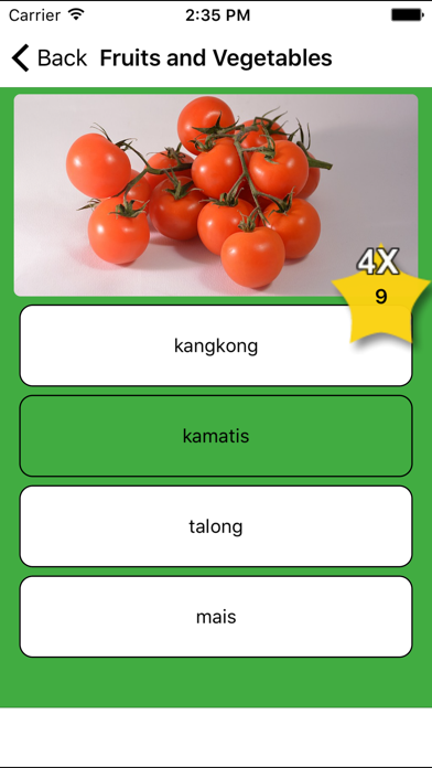 Learn Tagalog - Flashcardsのおすすめ画像4