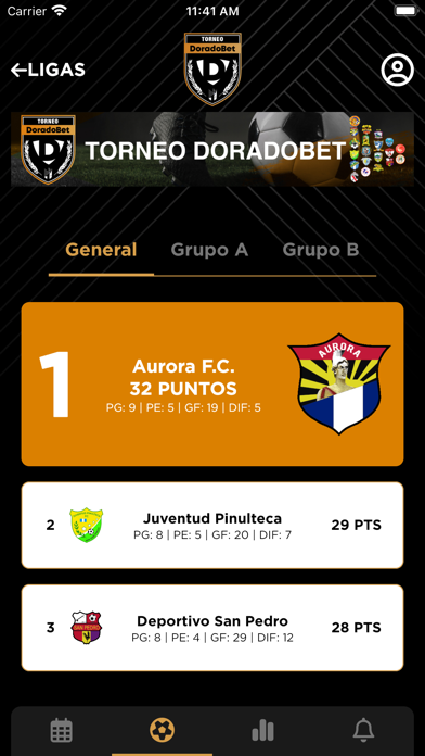 Primera División Guatemala Screenshot