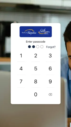 Bank of Alapaha screenshot 2
