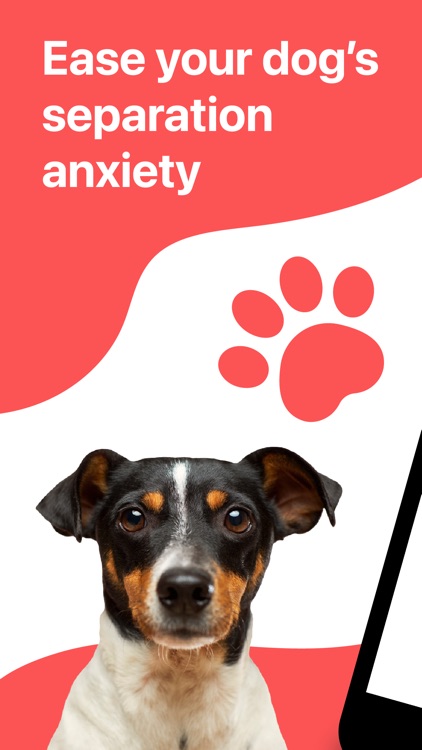 Training & Help: Calm My Dog