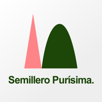 Semillero Purísima