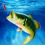 Fishing Clash: 3D Sport Game App Contact