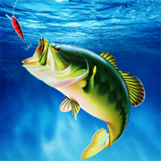 Hook Hunter: Fishing Games 3D