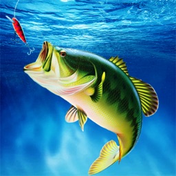 Fishing Clash: 3D Sport Game