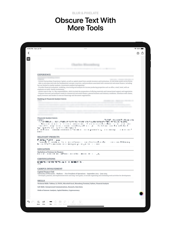 Blackout: Censor, Blur, Redact iPad screenshot 2 - Photo & Video app