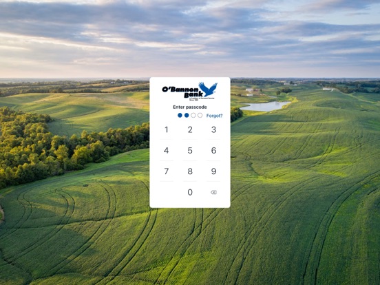 O'Bannon Mobile iPad screenshot 2 - Finance app