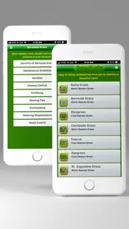 grassmaster problems & solutions and troubleshooting guide - 4