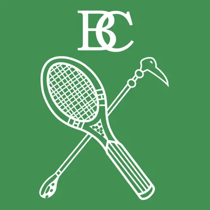 Bayou Club Читы