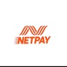 Get Netpay Ng for iOS, iPhone, iPad Aso Report