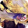 Montana Fishing Access icon
