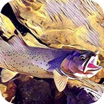 Download Montana Fishing Access app