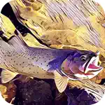 Montana Fishing Access App Positive Reviews