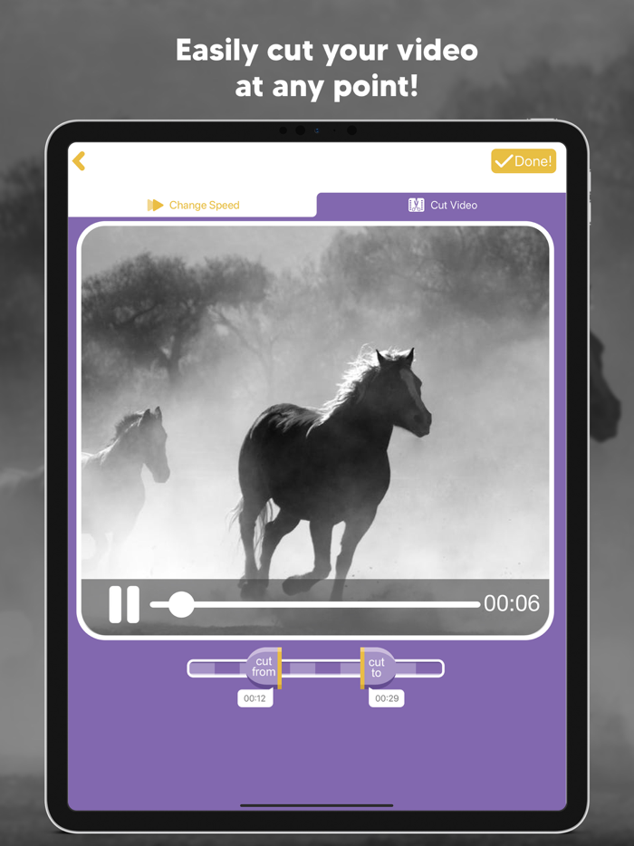 Slow Mo and Fast Motion